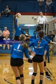 Volleyball: Polk at West Henderson (BR3_5877)