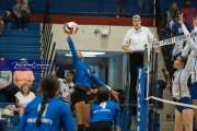 Volleyball: Polk at West Henderson (BR3_5930)