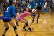 Volleyball: Polk at West Henderson (BR3_5939)