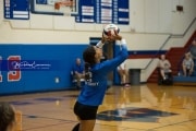 Volleyball: Polk at West Henderson (BR3_5972)