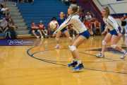 Volleyball: Polk at West Henderson (BR3_6016)