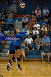 Volleyball: Polk at West Henderson (BR3_6098)