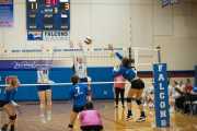 Volleyball: Polk at West Henderson (BR3_6225)