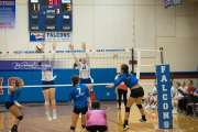Volleyball: Polk at West Henderson (BR3_6228)