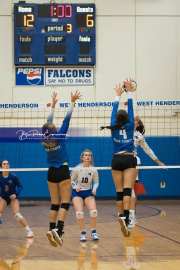 Volleyball: Polk at West Henderson (BR3_6244)