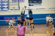 Volleyball: Polk at West Henderson (BR3_6263)