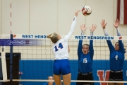Volleyball: Polk at West Henderson (BR3_6385)