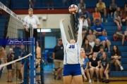 Volleyball: Polk at West Henderson (BR3_6456)