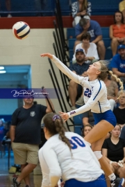 Volleyball: Polk at West Henderson (BR3_6459)