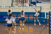 Volleyball Brevard at West Henderson (BR3_2485)
