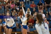 Volleyball Brevard at West Henderson (BR3_2787)