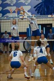 Volleyball Brevard at West Henderson (BR3_3412)