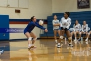 Volleyball Brevard at West Henderson (BR3_3617)