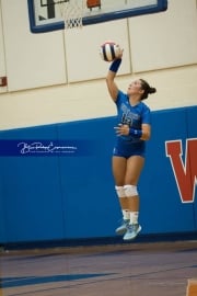 Volleyball Brevard at West Henderson (BR3_3759)