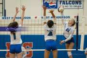 Volleyball Brevard at West Henderson (BR3_4179)