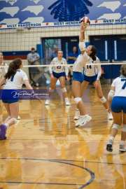 Volleyball Brevard at West Henderson (BR3_4184)