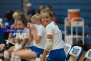 Volleyball Brevard at West Henderson (BR3_4235)