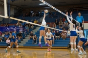 Volleyball Brevard at West Henderson (BR3_4884)