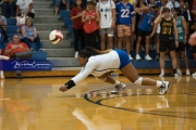 Volleyball Brevard at West Henderson (BR3_4889)