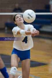 Volleyball: Brevard at TC Roberson (BR3_6247)