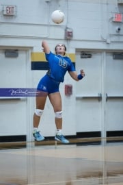 Volleyball: Brevard at TC Roberson (BR3_6385)