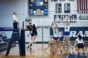 Volleyball: Brevard at TC Roberson (BR3_6593)