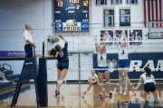 Volleyball: Brevard at TC Roberson (BR3_6595)