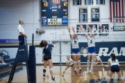 Volleyball: Brevard at TC Roberson (BR3_6600)