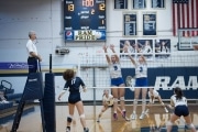 Volleyball: Brevard at TC Roberson (BR3_6602)