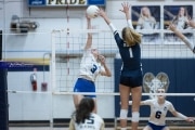 Volleyball: Brevard at TC Roberson (BR3_6671)