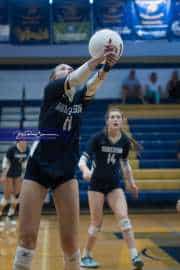 Volleyball: Brevard at TC Roberson (BR3_6893)