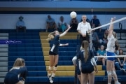 Volleyball: Brevard at TC Roberson (BR3_6998)
