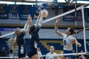 Volleyball: Brevard at TC Roberson (BR3_7467)