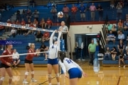 Volleyball: Hendersonville at West Henderson  (BR3_4033)