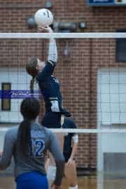 Volleyball: TC Roberson v McDowell (BR3_4121)