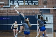 Volleyball: TC Roberson v McDowell (BR3_4139)