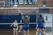 Volleyball: TC Roberson v McDowell (BR3_4141)