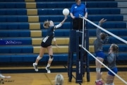 Volleyball: TC Roberson v McDowell (BR3_4376)