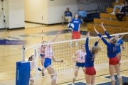 Volleyball: West Henderson at Brevard (BR3_2882)