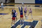 Volleyball: West Henderson at Brevard (BR3_3023)
