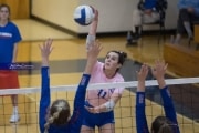 Volleyball: West Henderson at Brevard (BR3_3247)