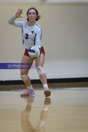 Volleyball: West Henderson at Brevard (BR3_3804)