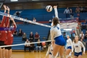 Volleyball: Franklin at West Henderson (BR3_4078)