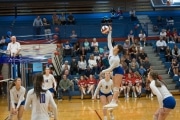 Volleyball: Franklin at West Henderson (BR3_4128)