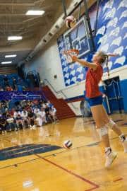 Volleyball: Franklin at West Henderson (BR3_4921)