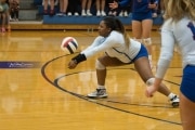 Volleyball: Franklin at West Henderson (BR3_5475)