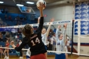 Volleyball: Franklin at West Henderson (BR3_5547)