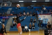 Volleyball: Franklin at West Henderson (BR3_5591)