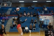 Volleyball: Franklin at West Henderson (BR3_5592)