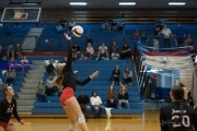 Volleyball: Franklin at West Henderson (BR3_5593)